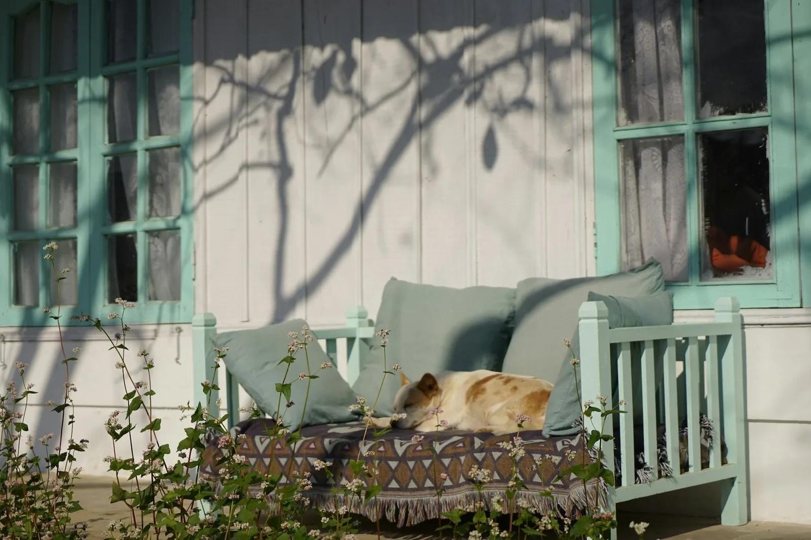 A white terrier sitting contentedly on a wooden porch