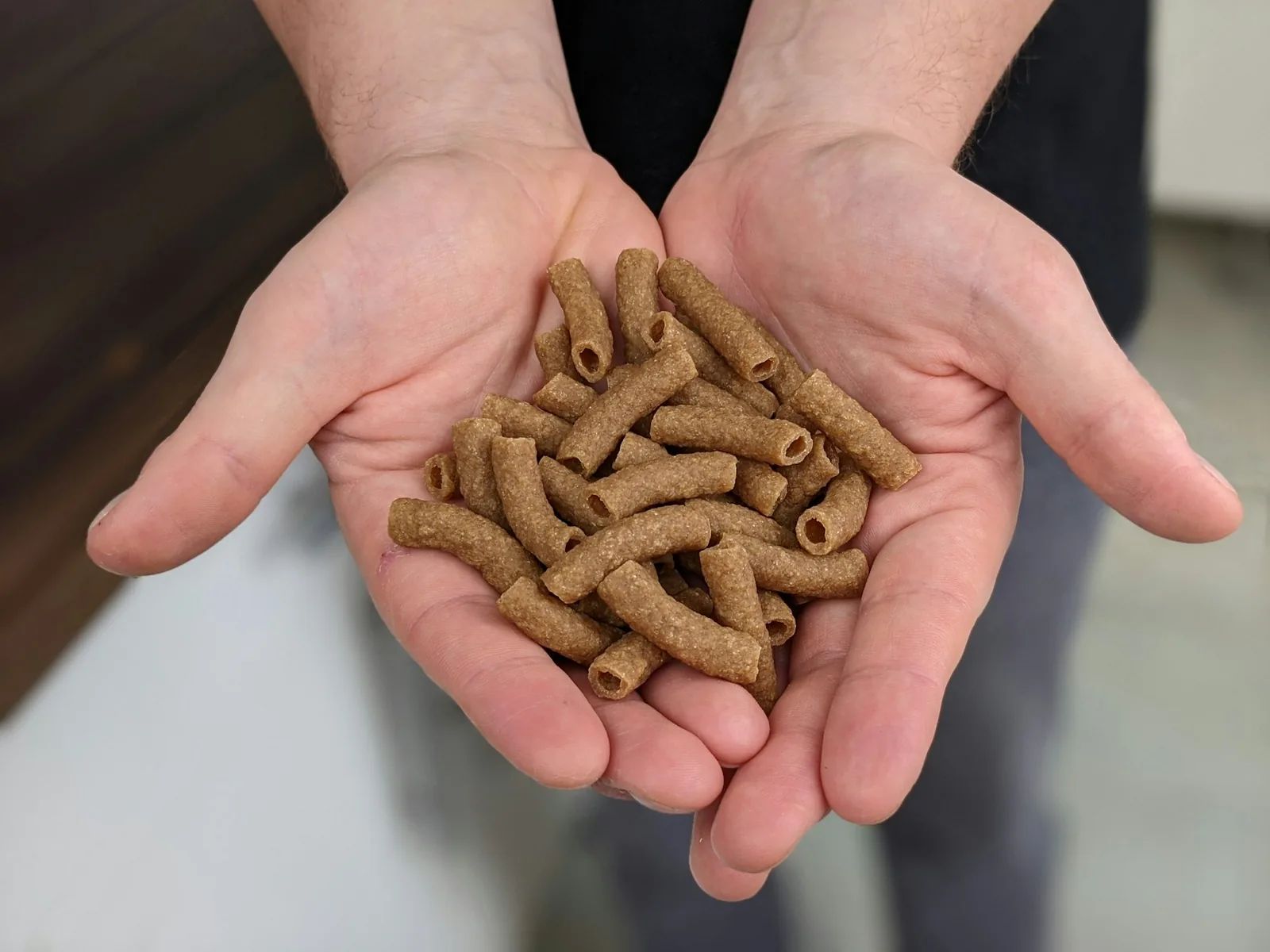 A handful of small dog treats held out