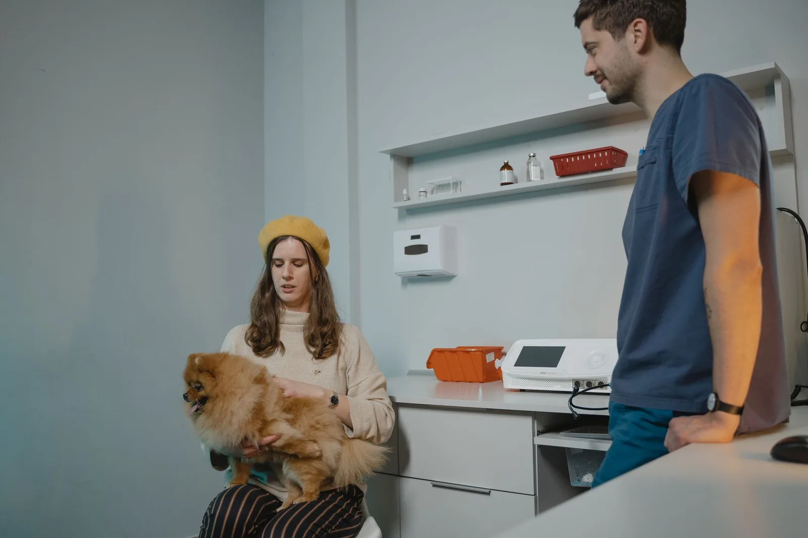 A small dog waiting on a bench in a veterinary clinic