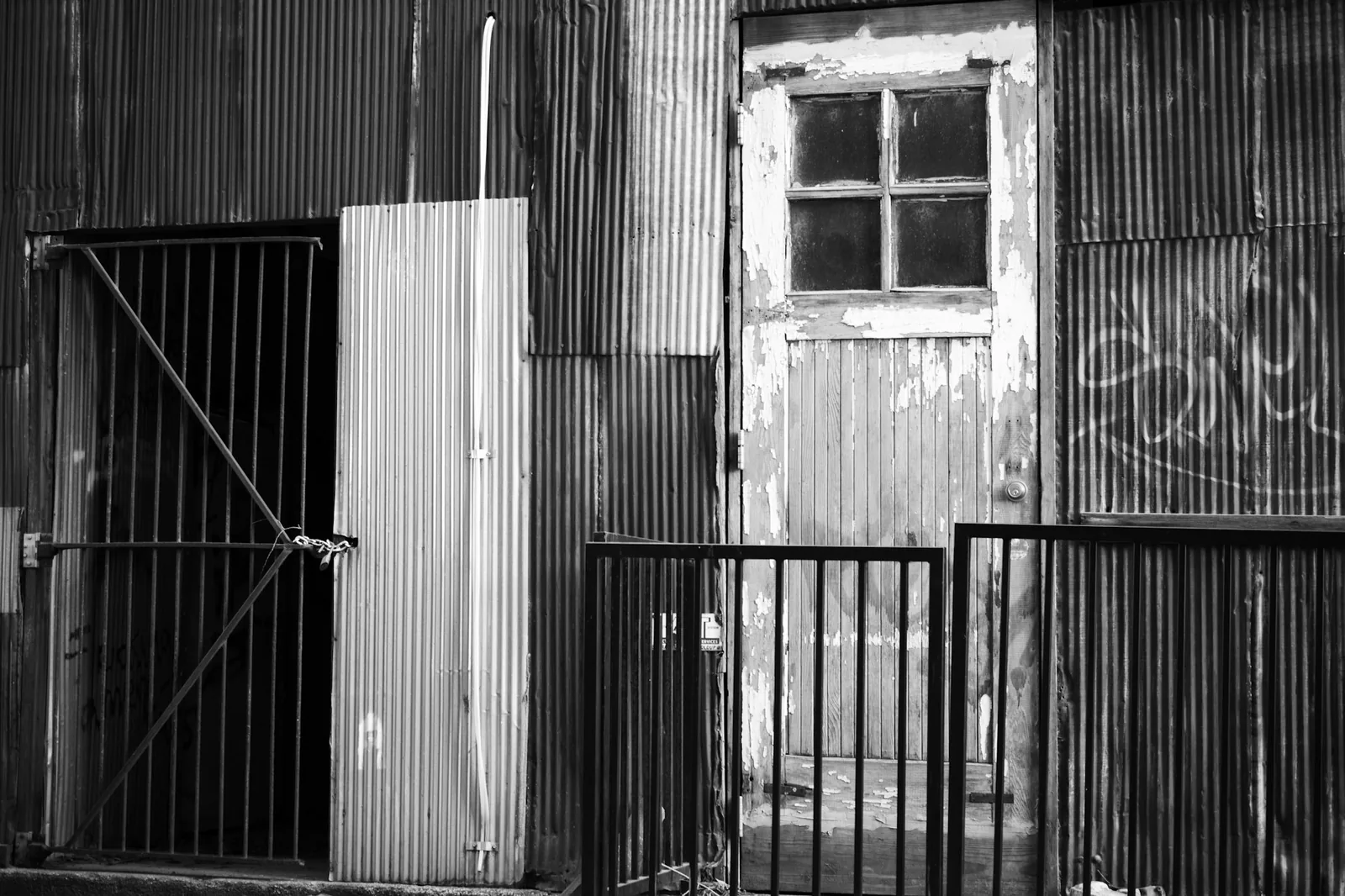 A small dog sitting patiently by a back door