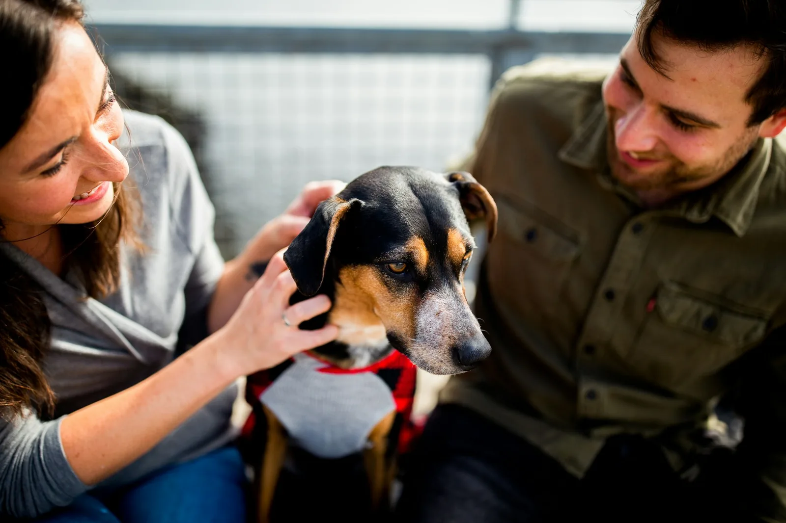 Two people talking while a small dog stands between them