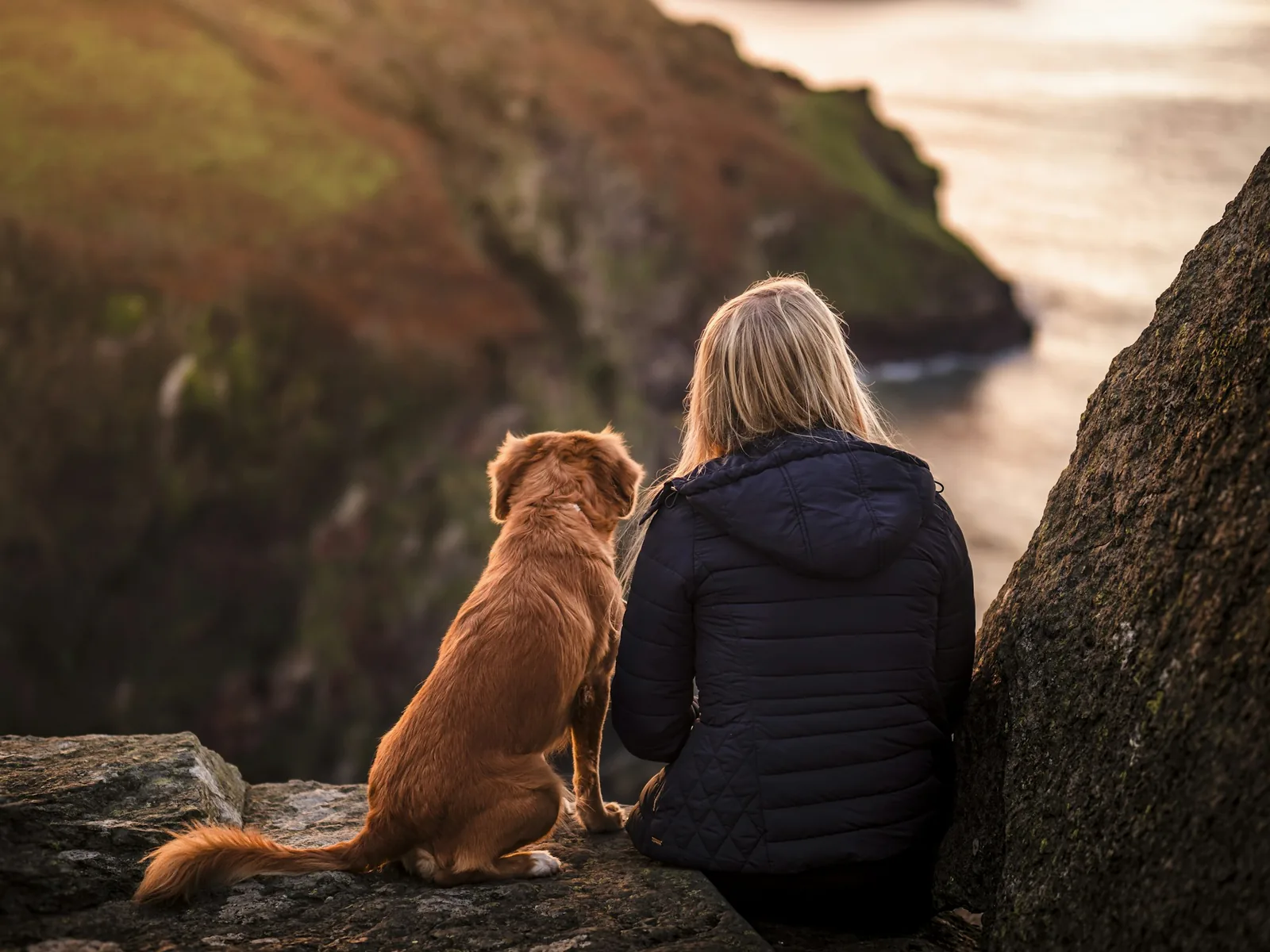 A person sitting quietly beside their dog on a sofa