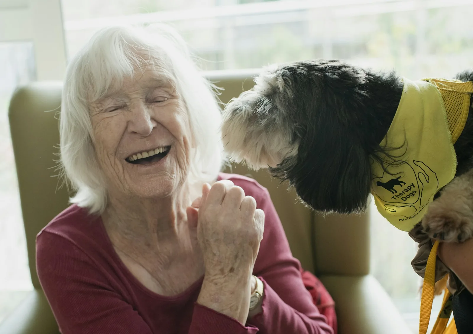 An older person sitting with a small dog resting beside them