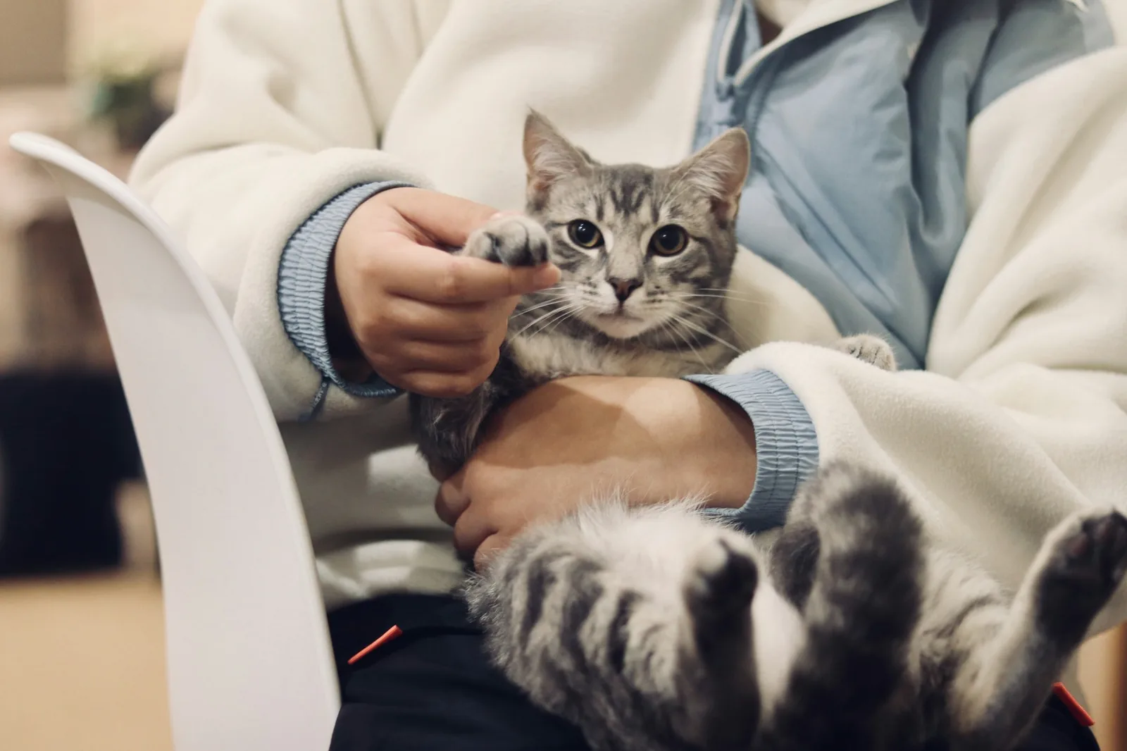 A veterinarian talking quietly with a dog owner in a consulting room