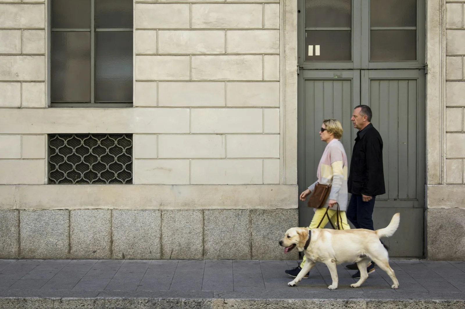 A small dog walking away on a leash beside its new owner