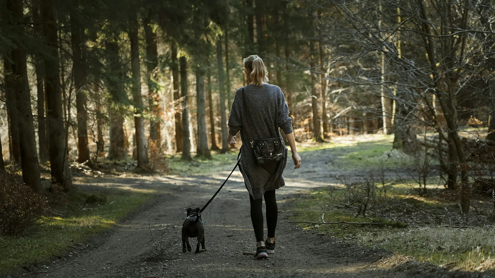 A person walking a small dog along a path