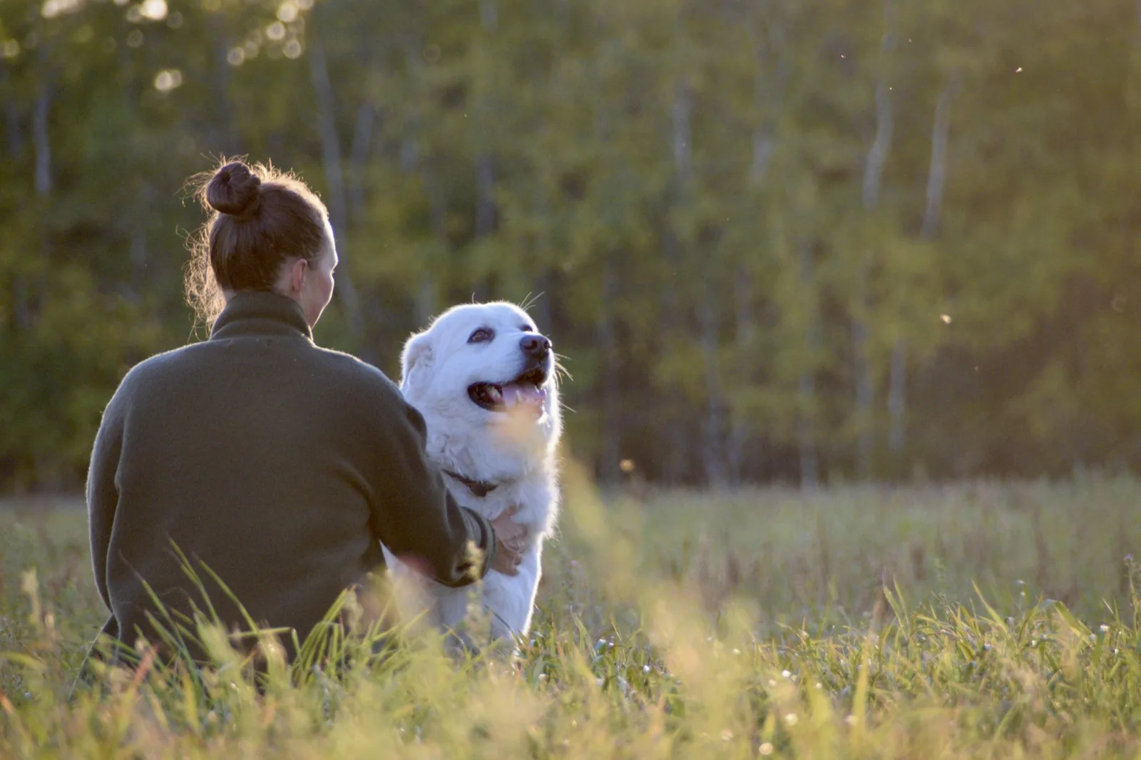 A volunteer walking a small dog outdoors on a bright day