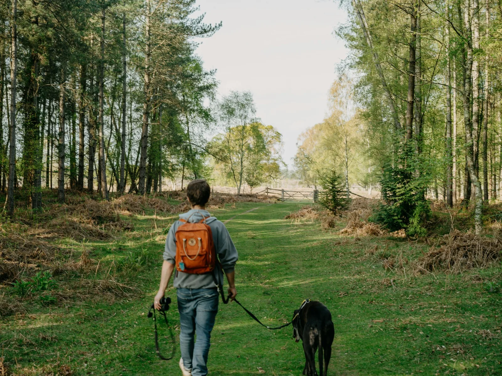 A person walking a small dog along a country path
