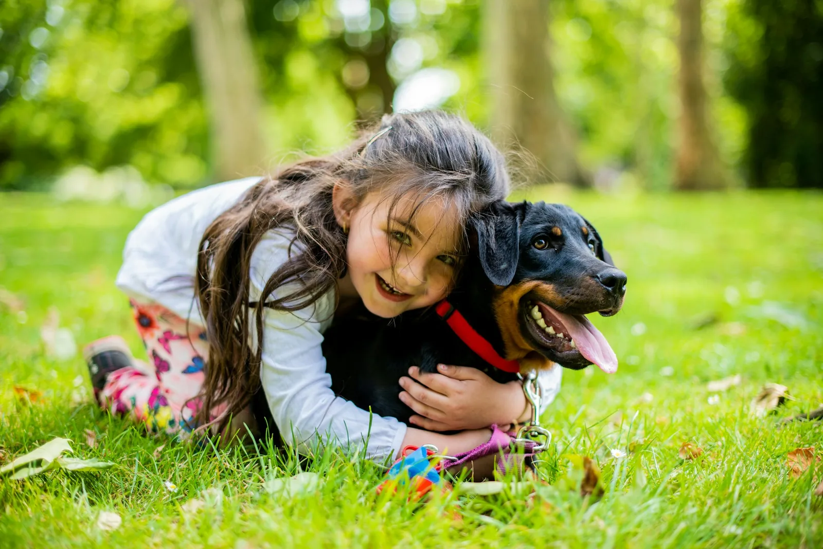 A child sitting on the floor gently stroking a small dog
