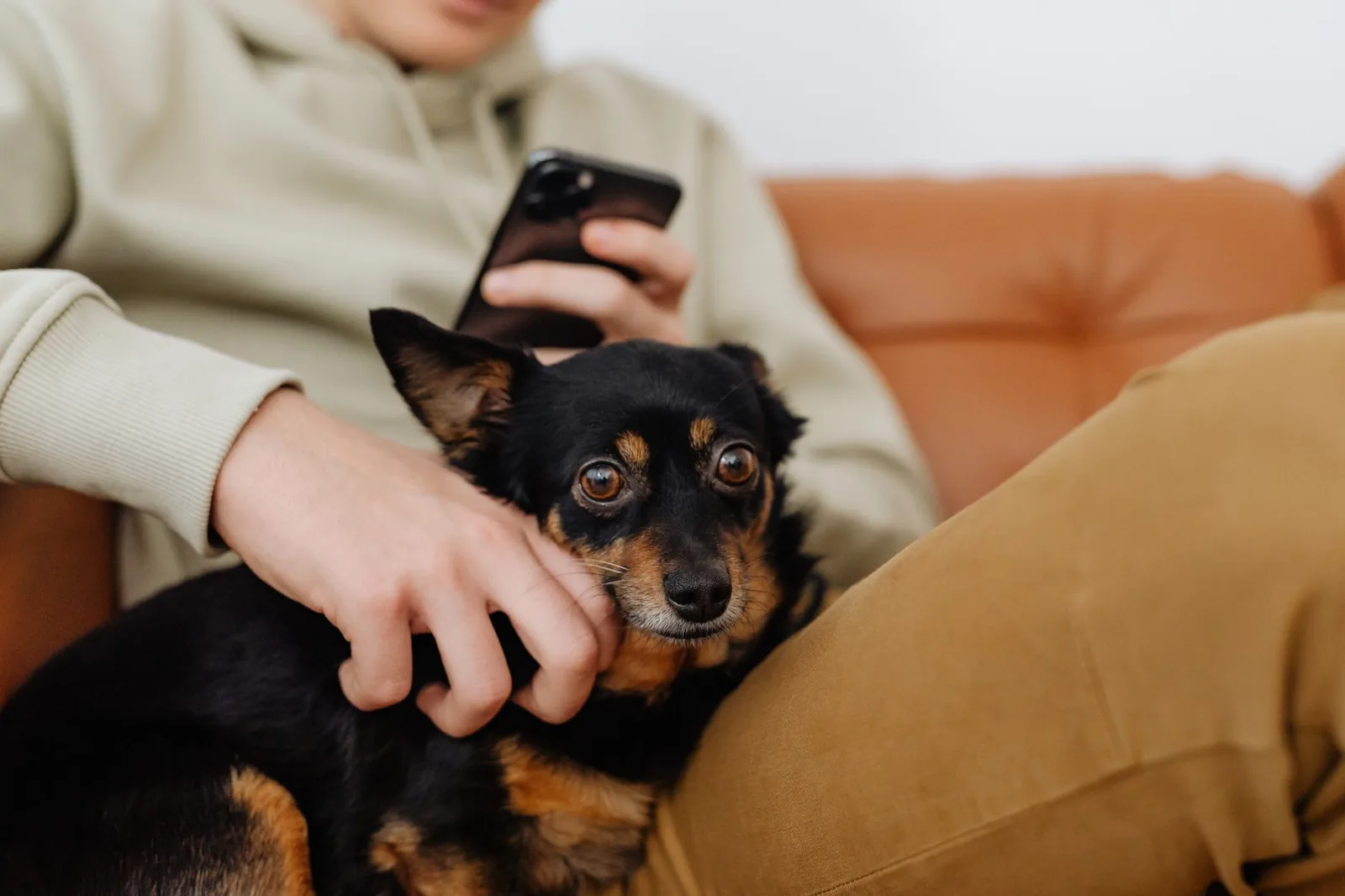 An older person sitting at home with a small dog