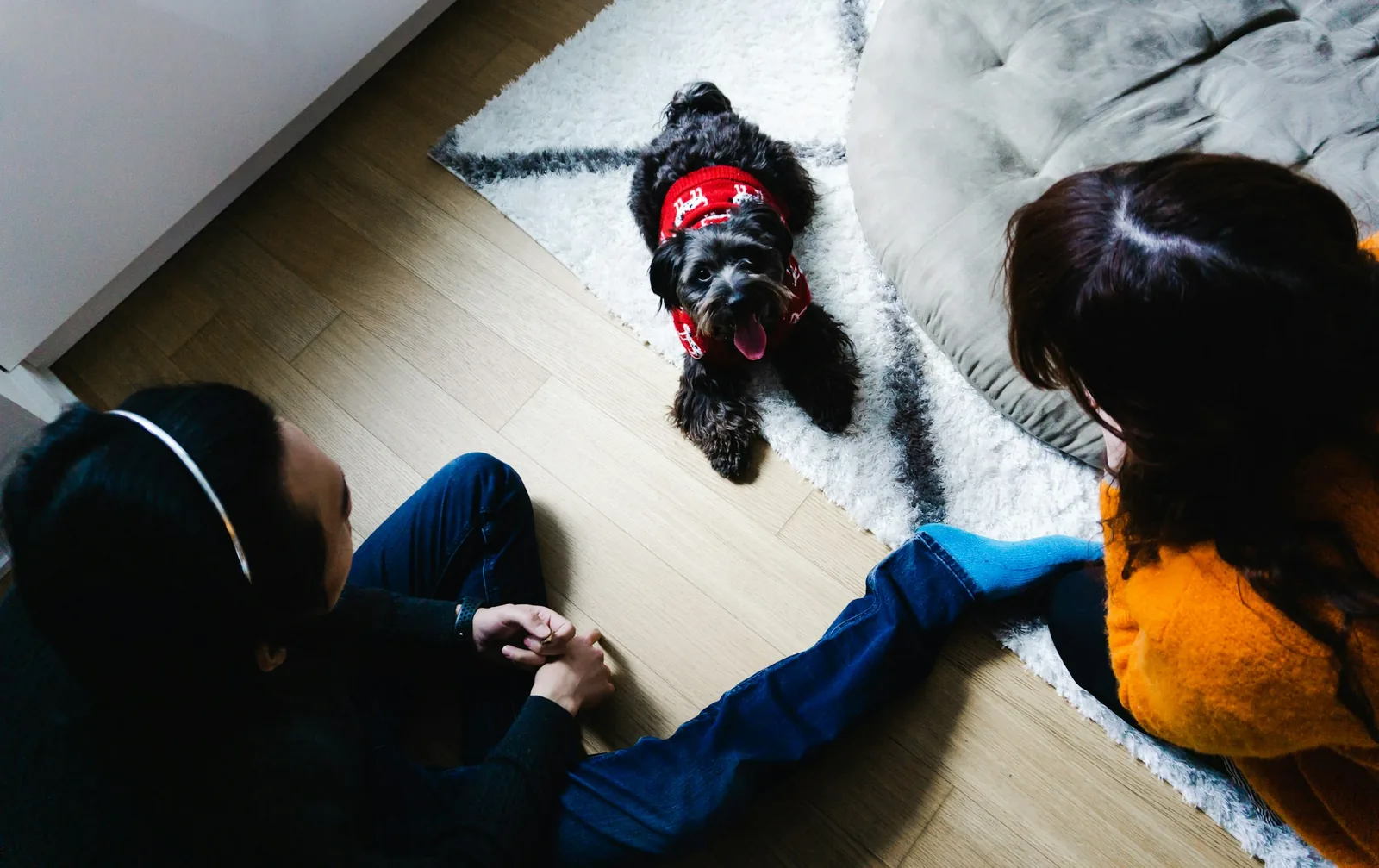 Two people talking together with a dog present