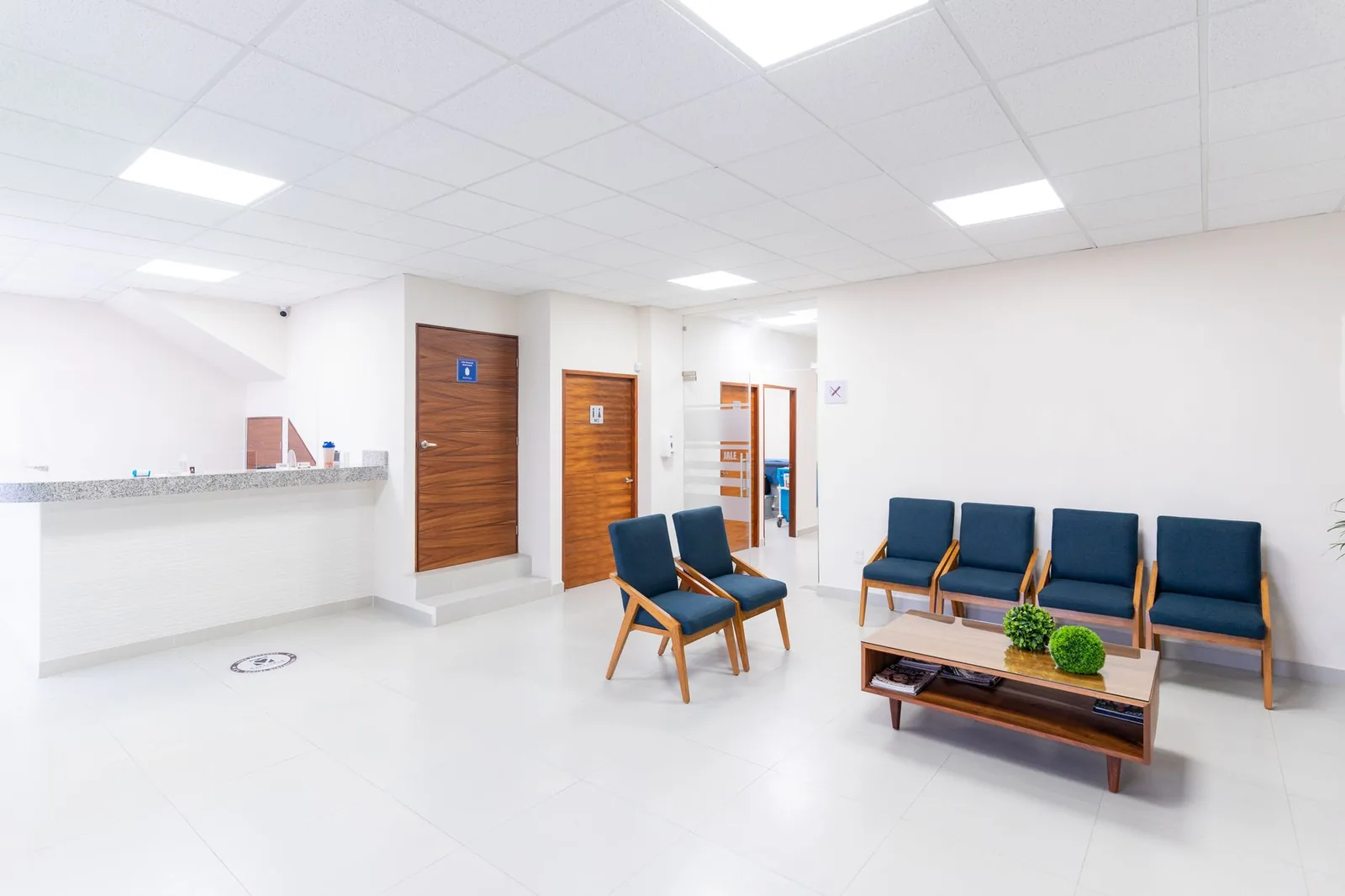 A veterinary clinic waiting area