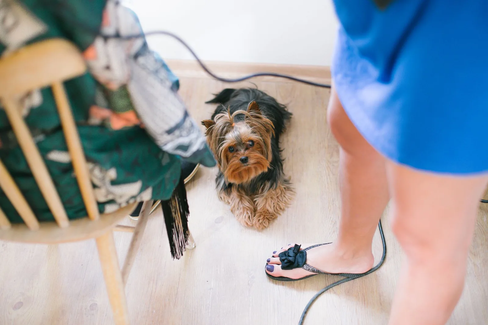 A relaxed dog lying near people indoors