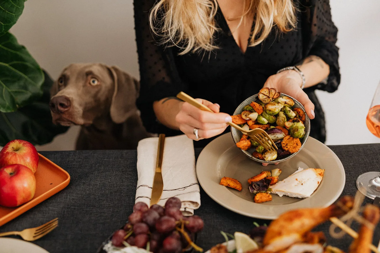 A dog eating a measured meal from a bowl