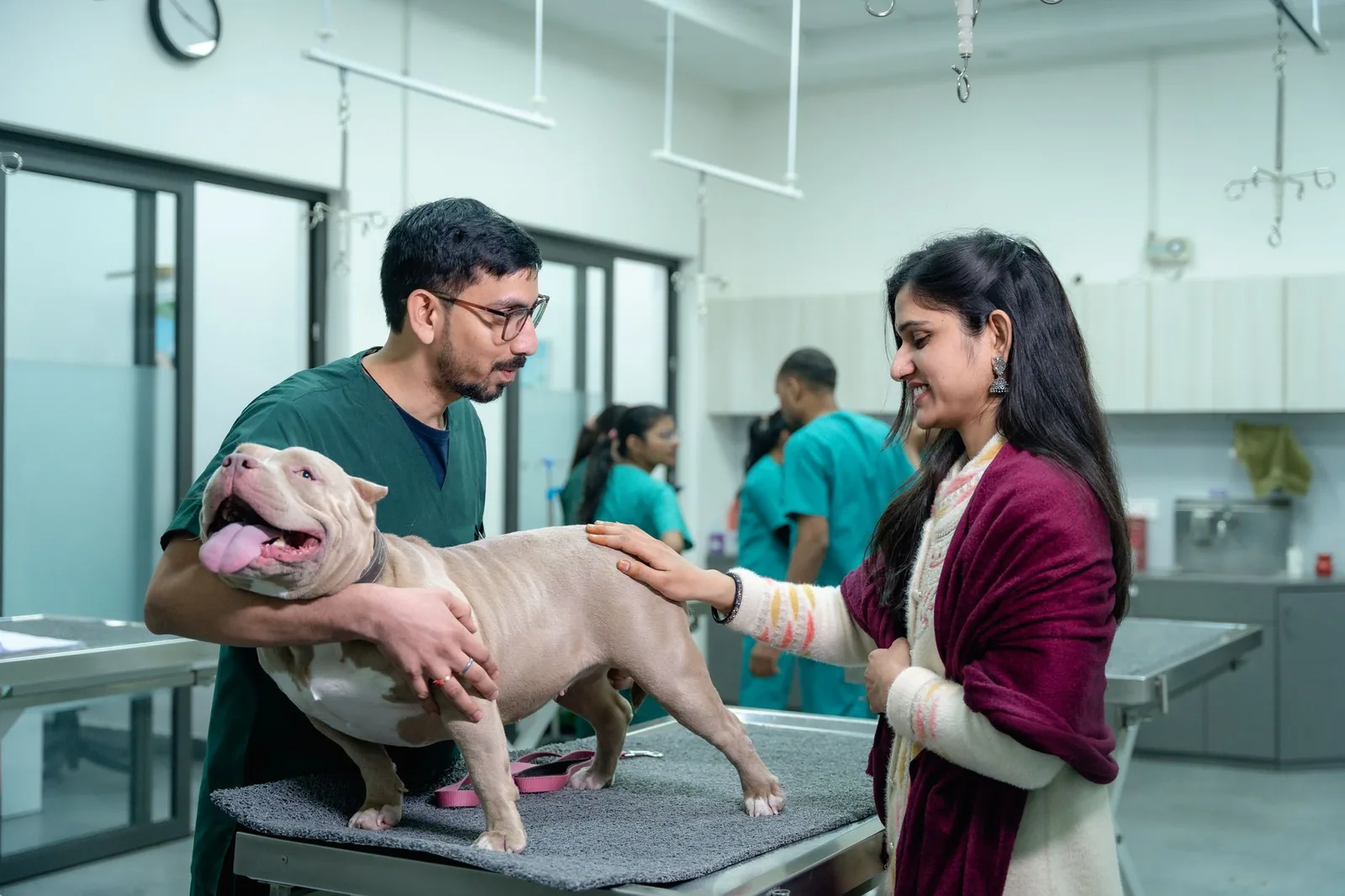 A veterinarian and owner discussing a treatment plan