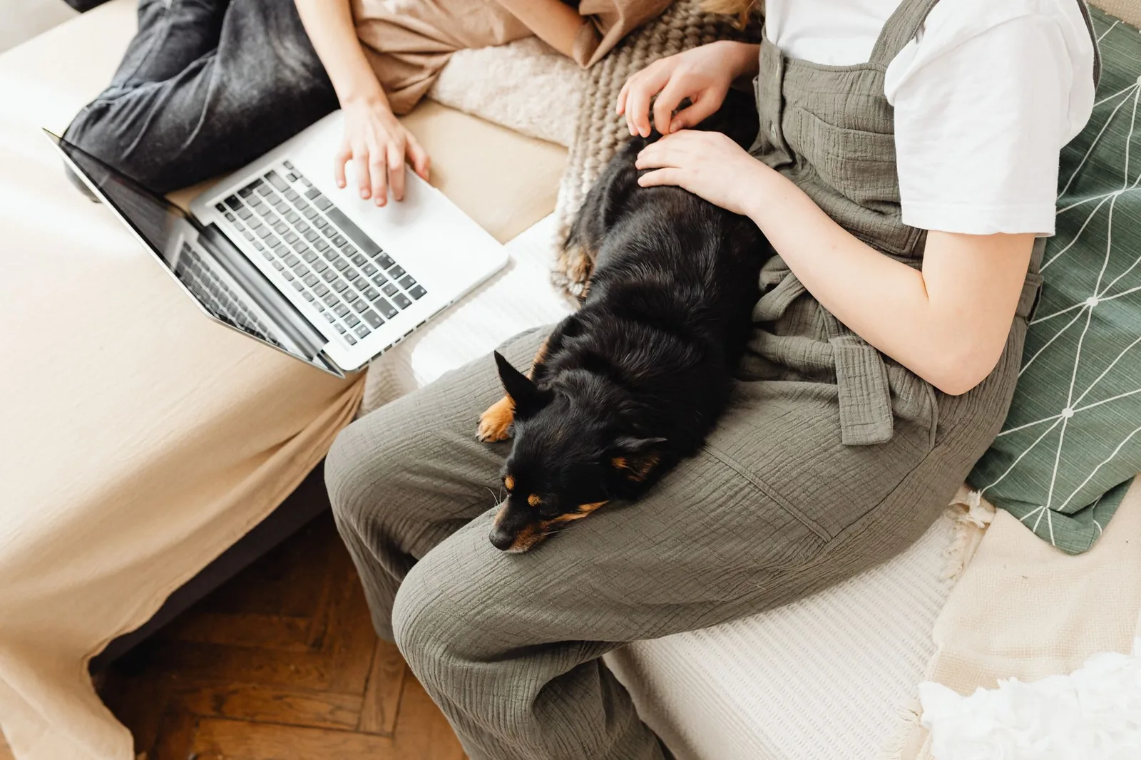 A dog lying at a distance in a family room