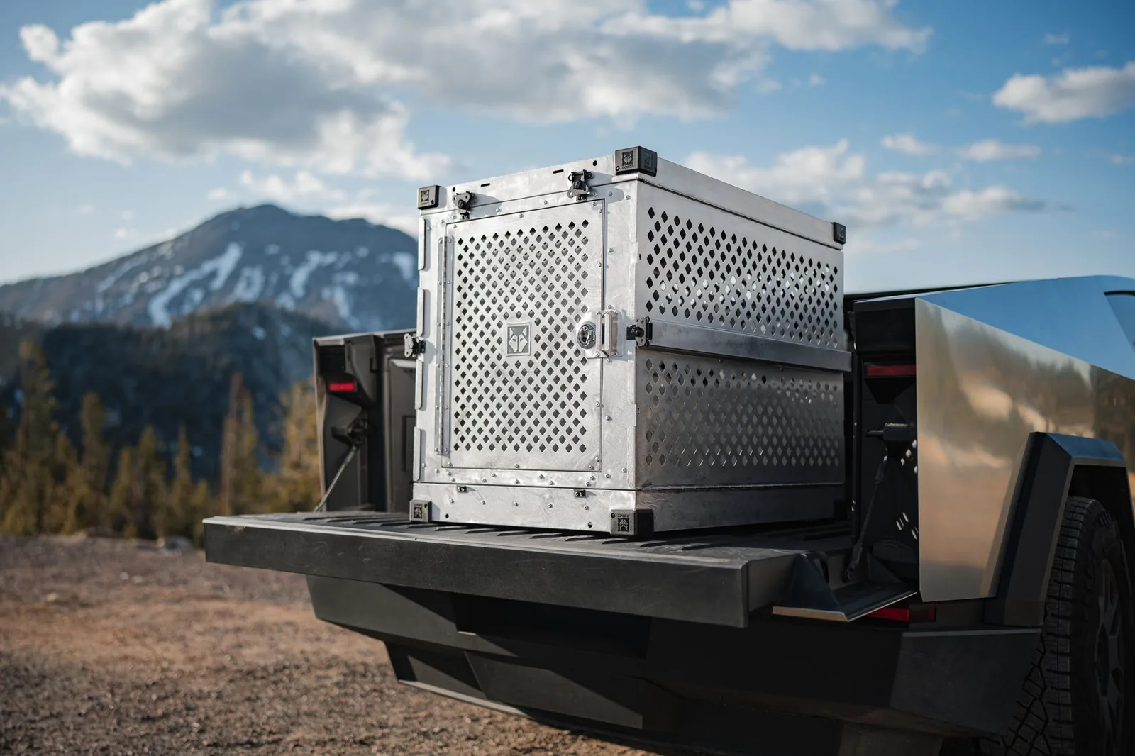 A travel crate secured in the back of a car