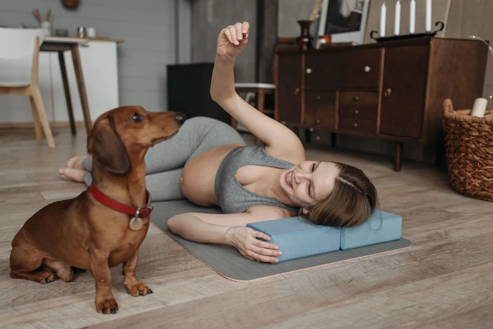 A dog settled on its own mat