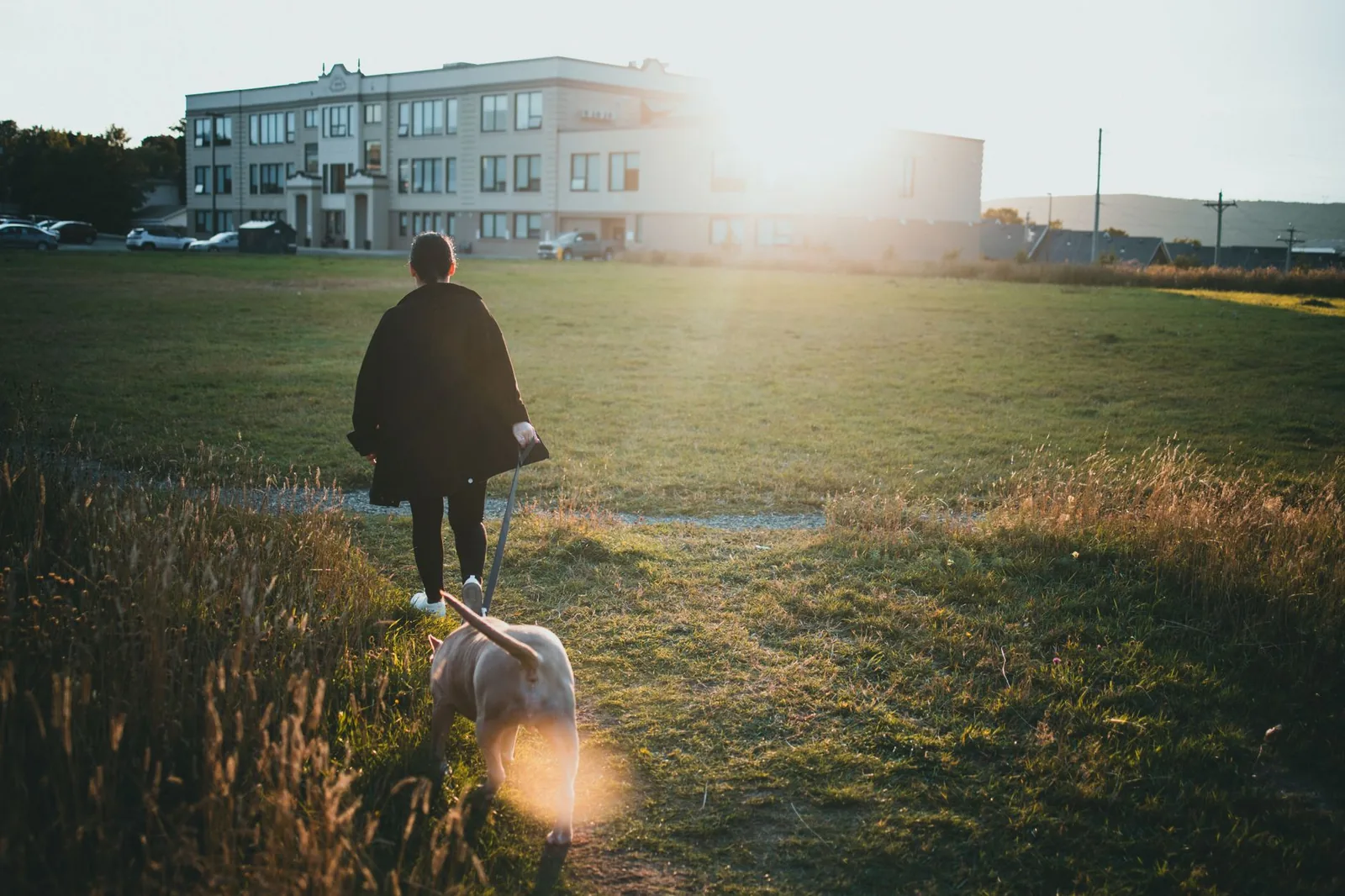 A person walking a dog in a park