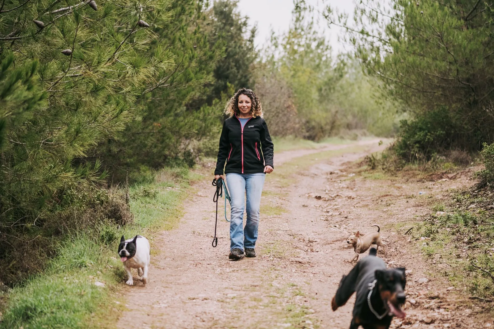 A dog walker leading a small dog along a path