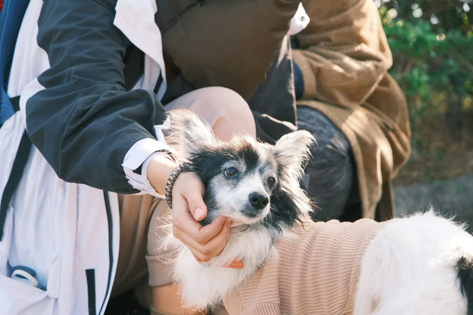 A person picking up keys and a coat while a dog watches