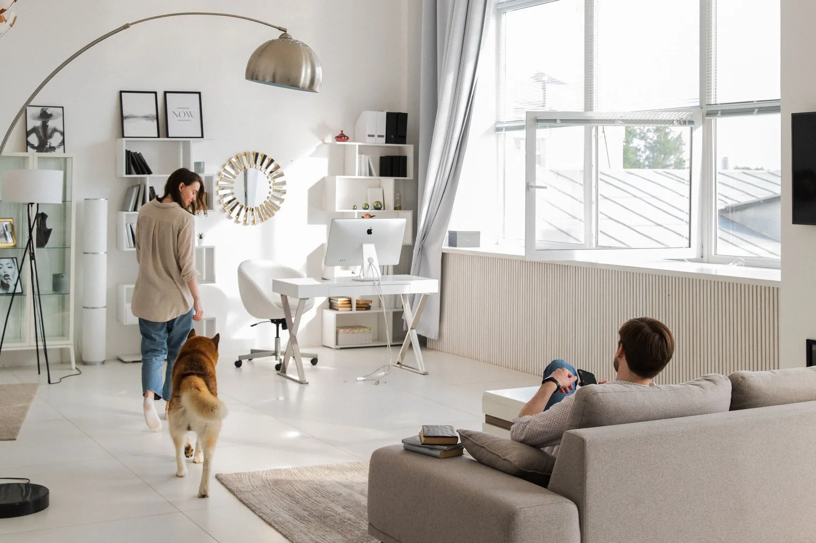 A small white dog on the floor of a tidy living room