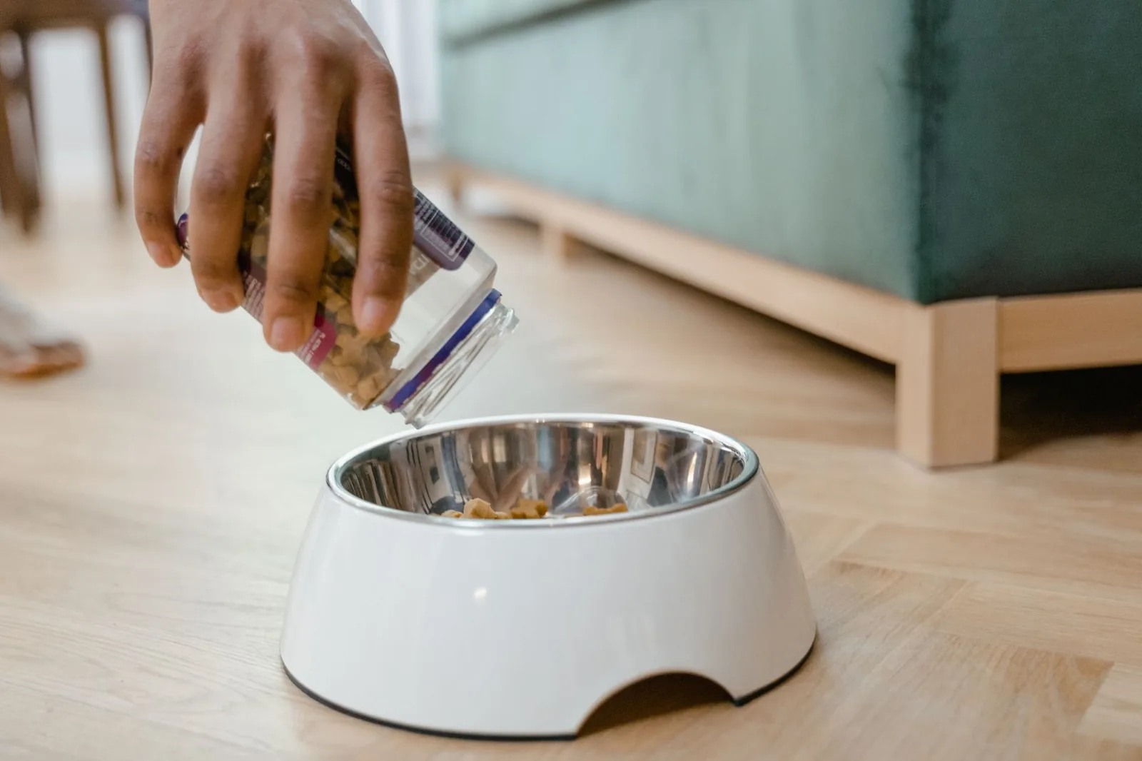 A bowl of dog food on a kitchen floor