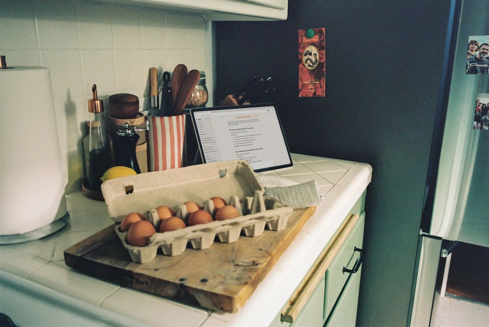 A small dog looking up at a kitchen counter