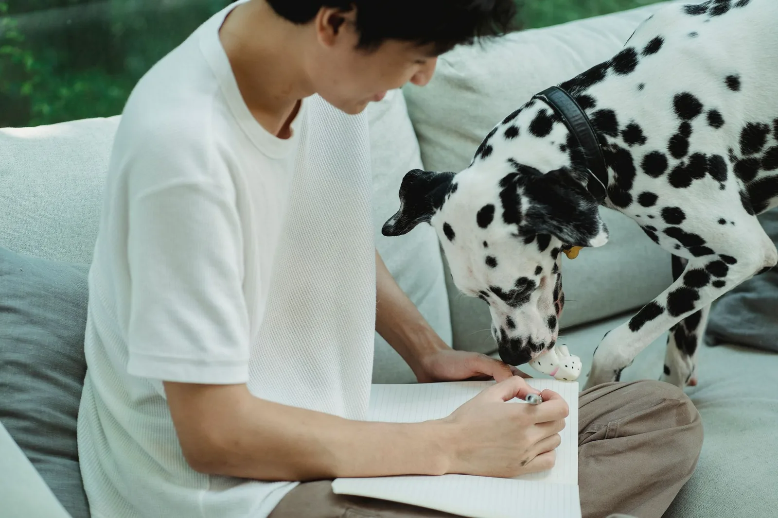 A person making notes while a dog rests nearby