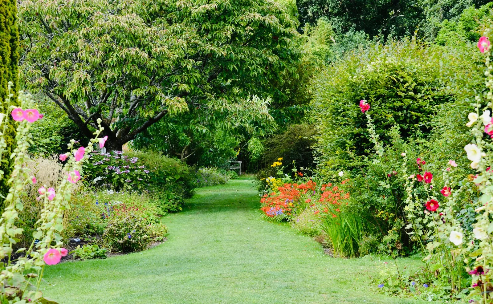 A planted garden border
