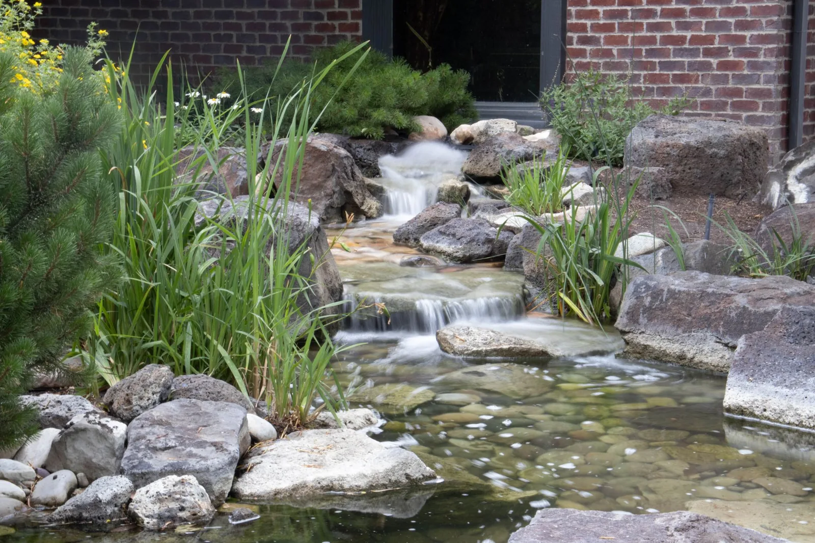 A small garden pond