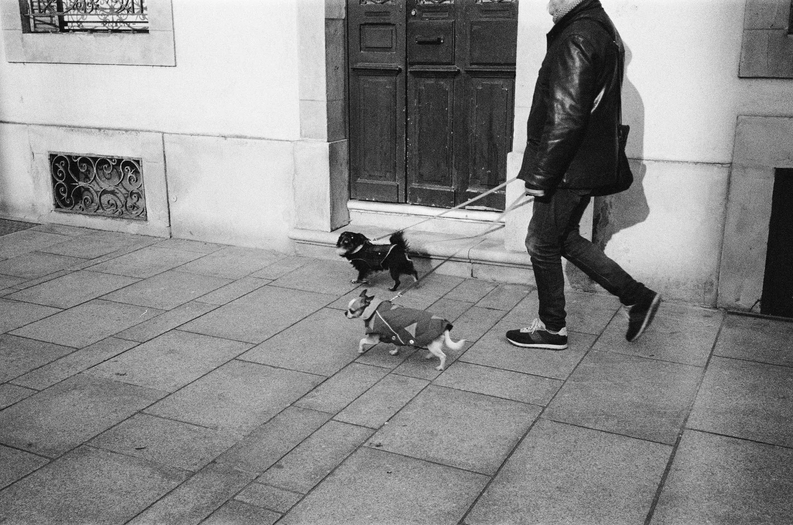 An older person walking a small dog on a quiet path