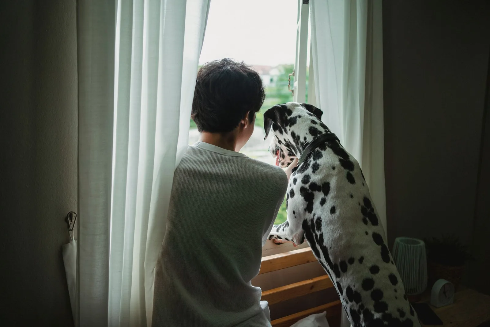 A dog observed going about its day in a home setting