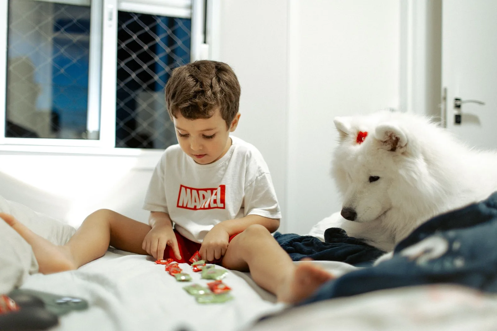 A dog working at a puzzle toy on a rug