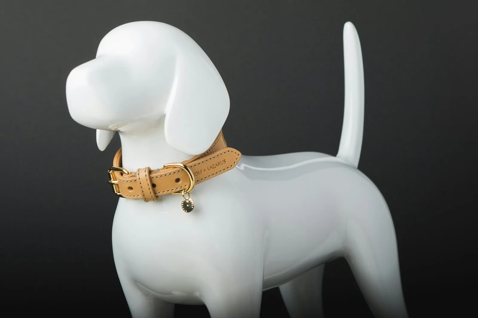 A dog collar with an identification tag attached