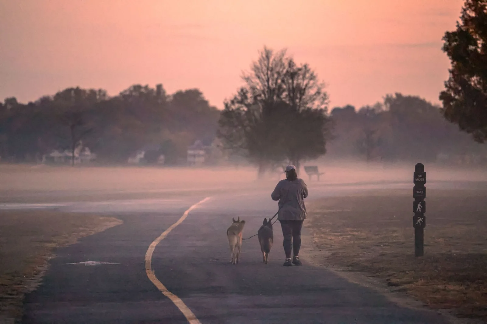 A person walking a dog on a quiet street early in the morning