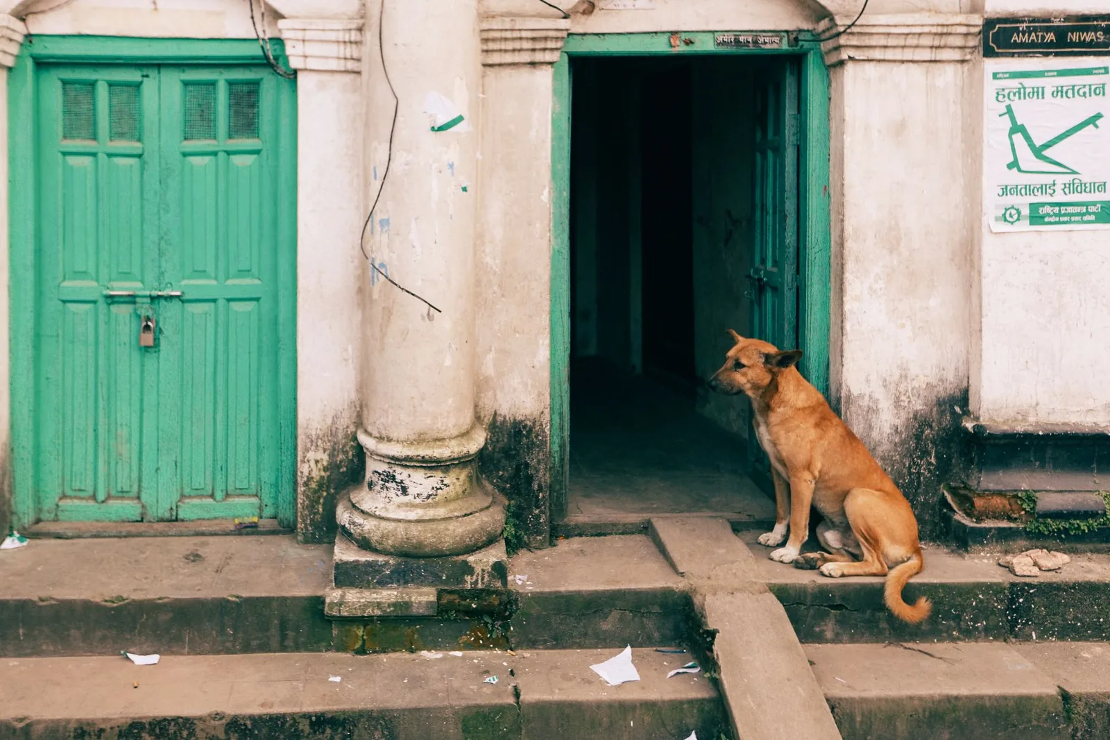 A dog waiting alone near a door