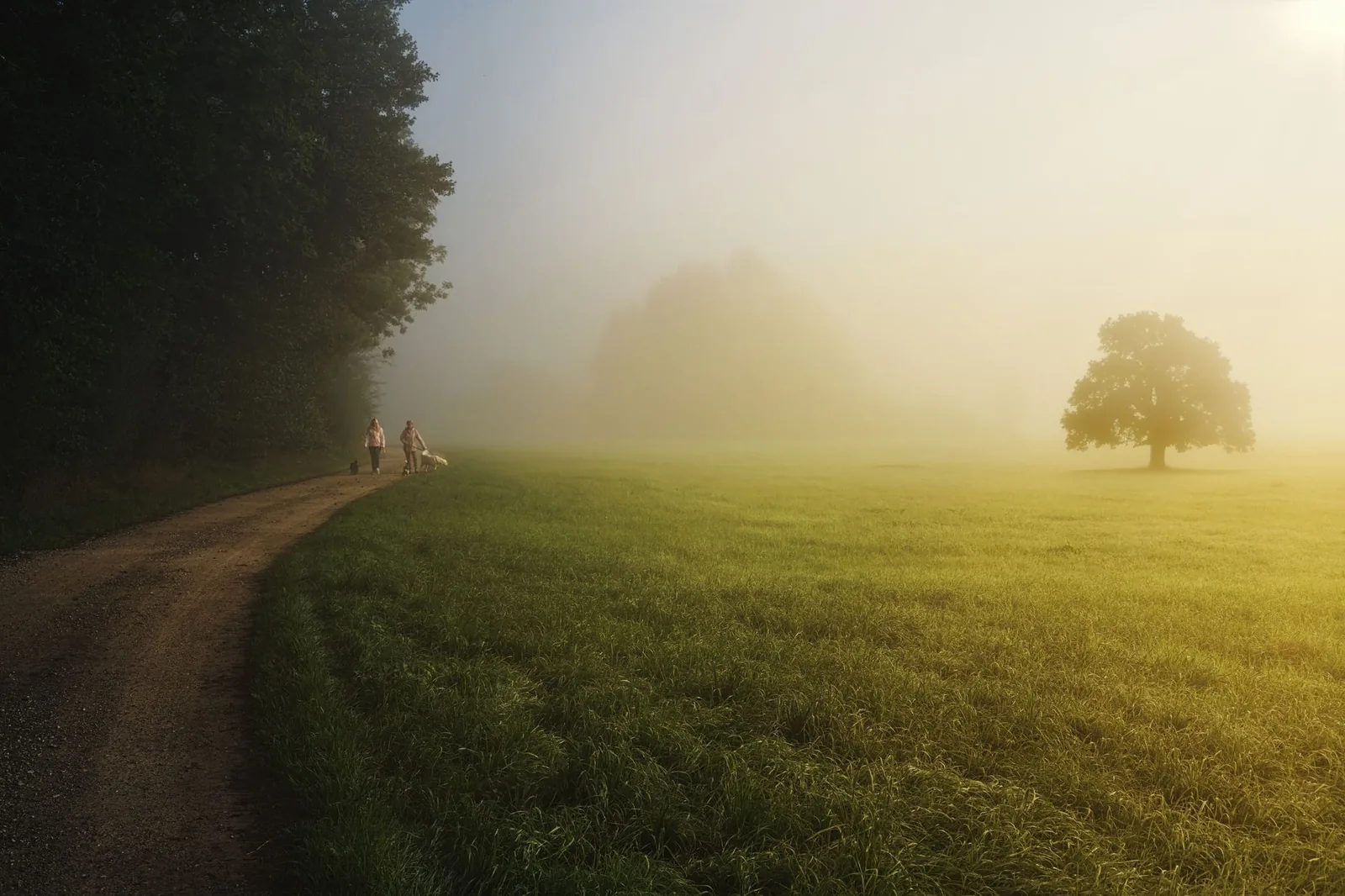 A quiet path early in the morning