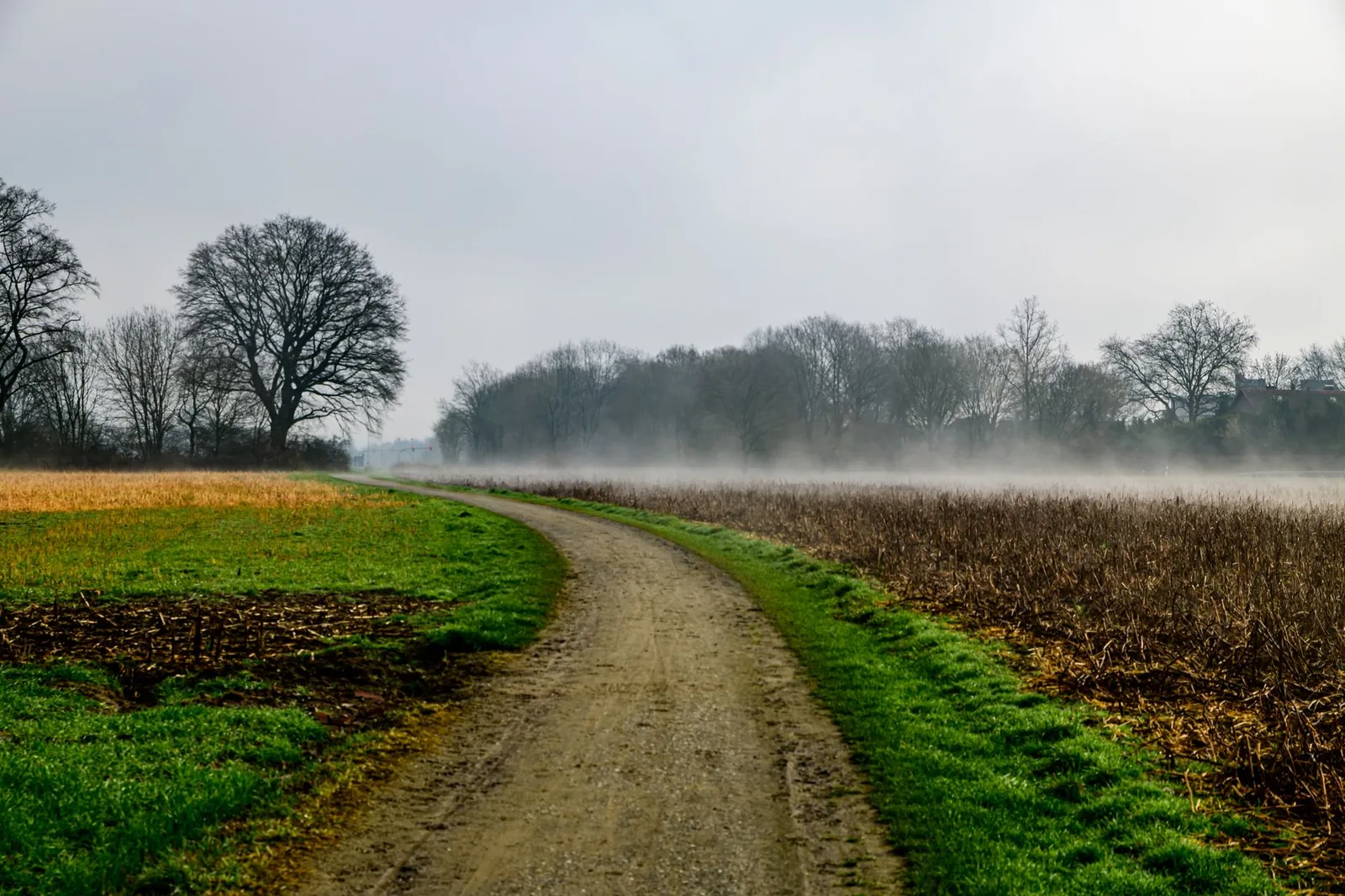 A quiet empty trail early in the morning