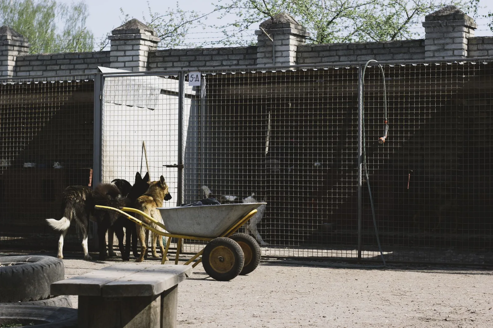 A row of kennel runs