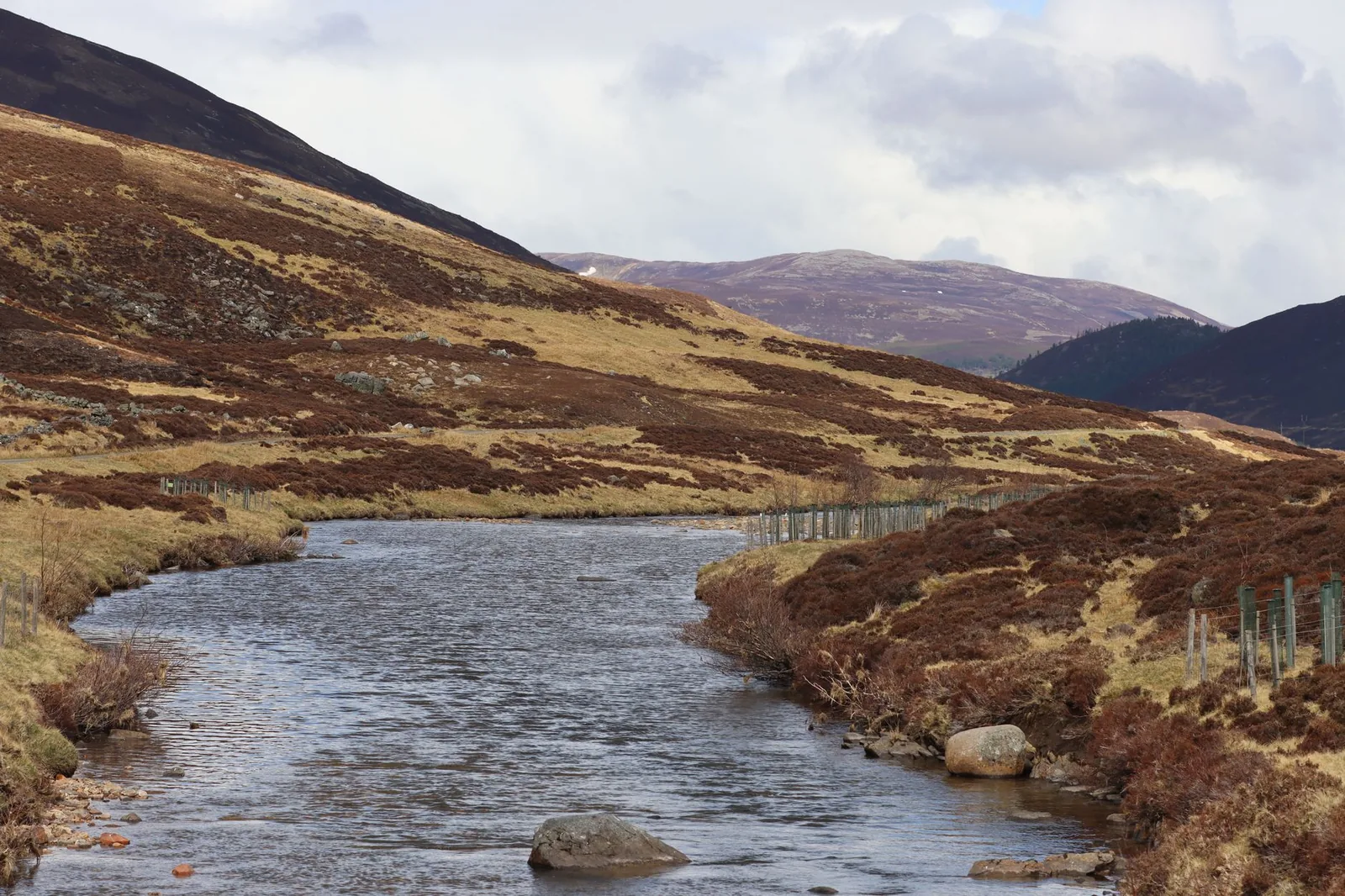 Open hill country of the kind Highland terriers were worked in