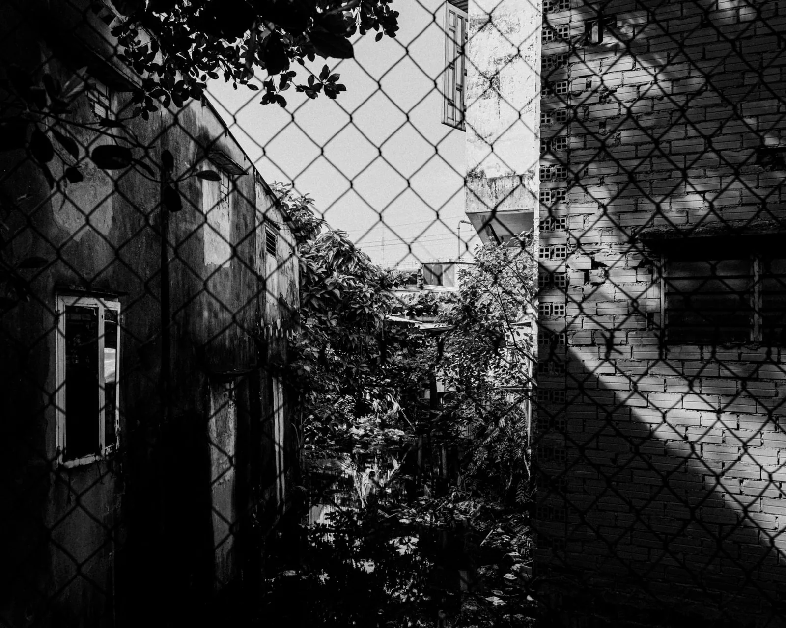 A securely enclosed garden with a fence