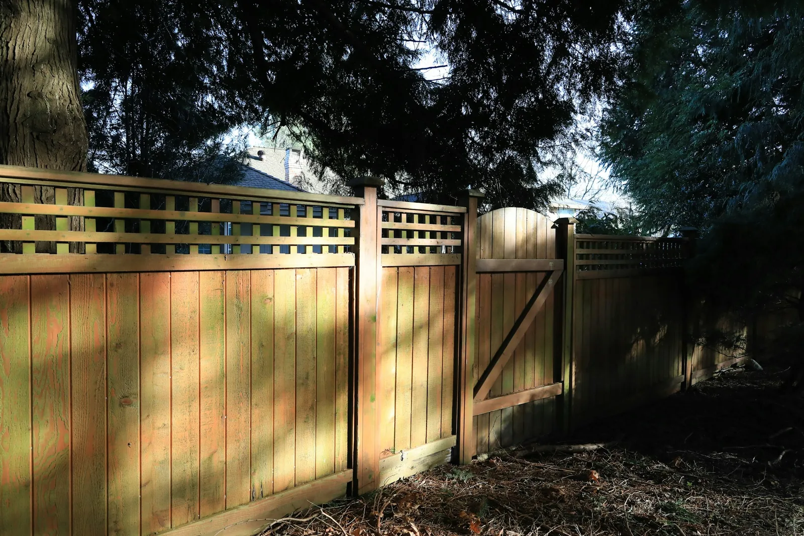 A securely fenced back yard with a closed gate