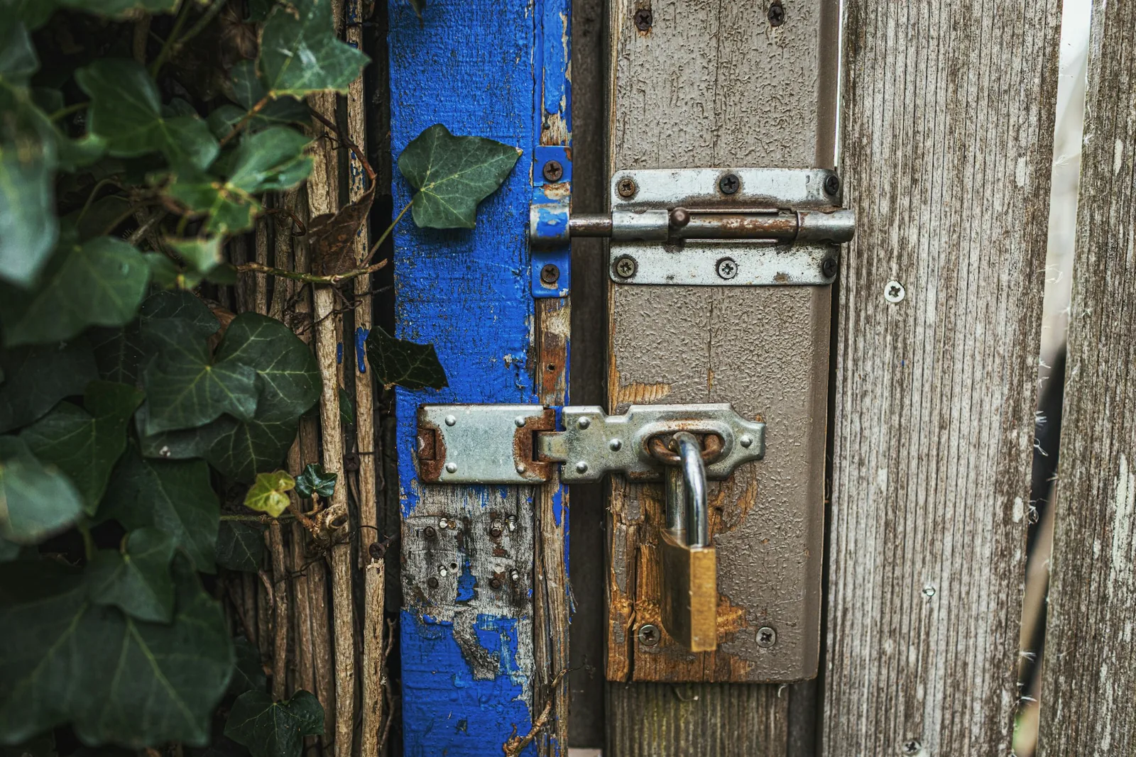 A closed garden gate with a secure latch