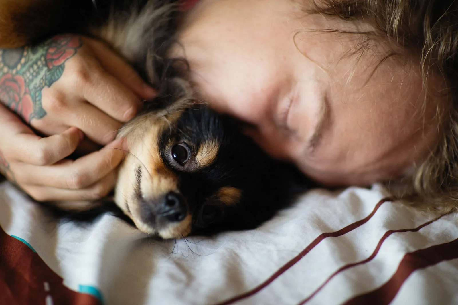 A person at home with a small dog