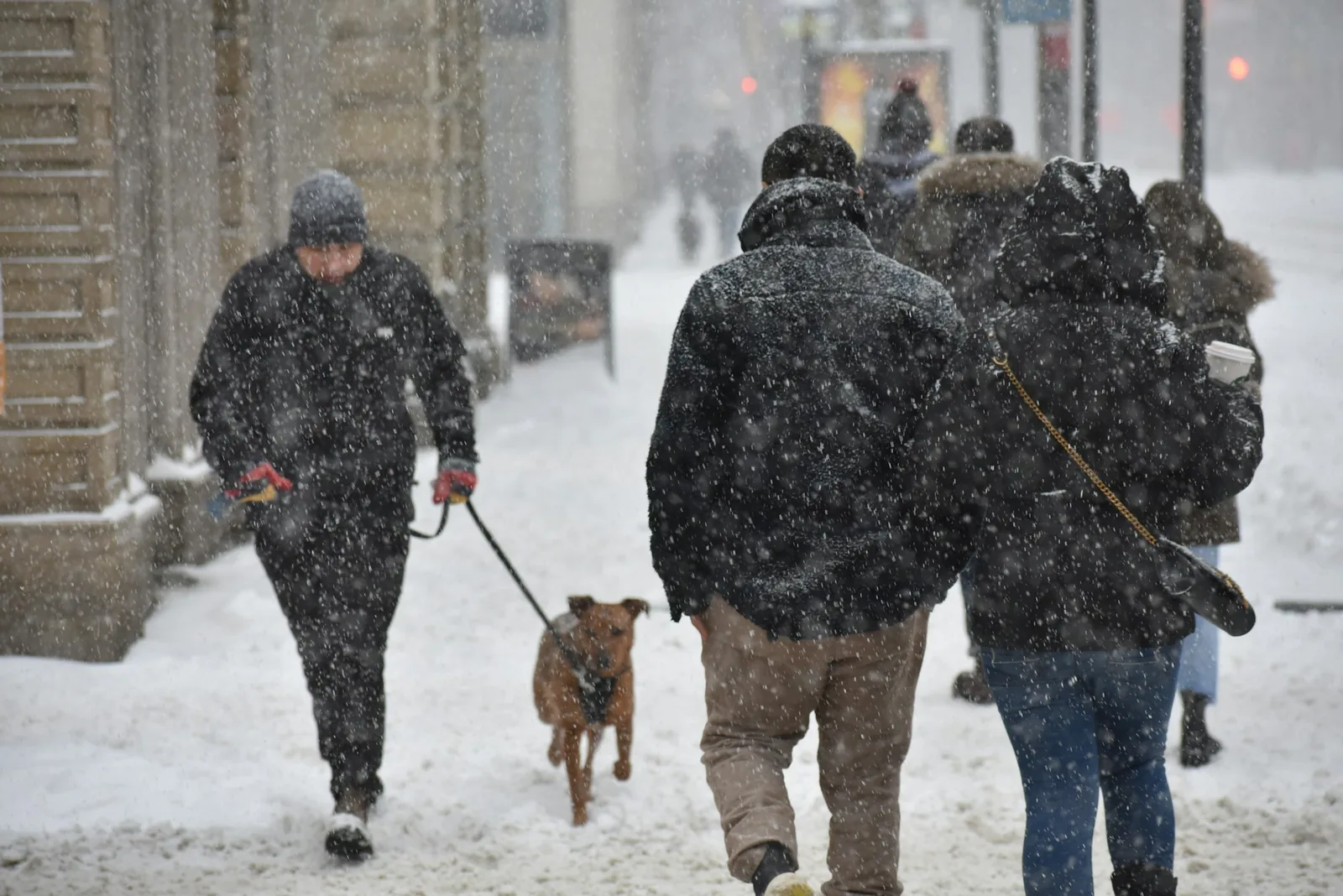 A person walking a small dog along a snowy street