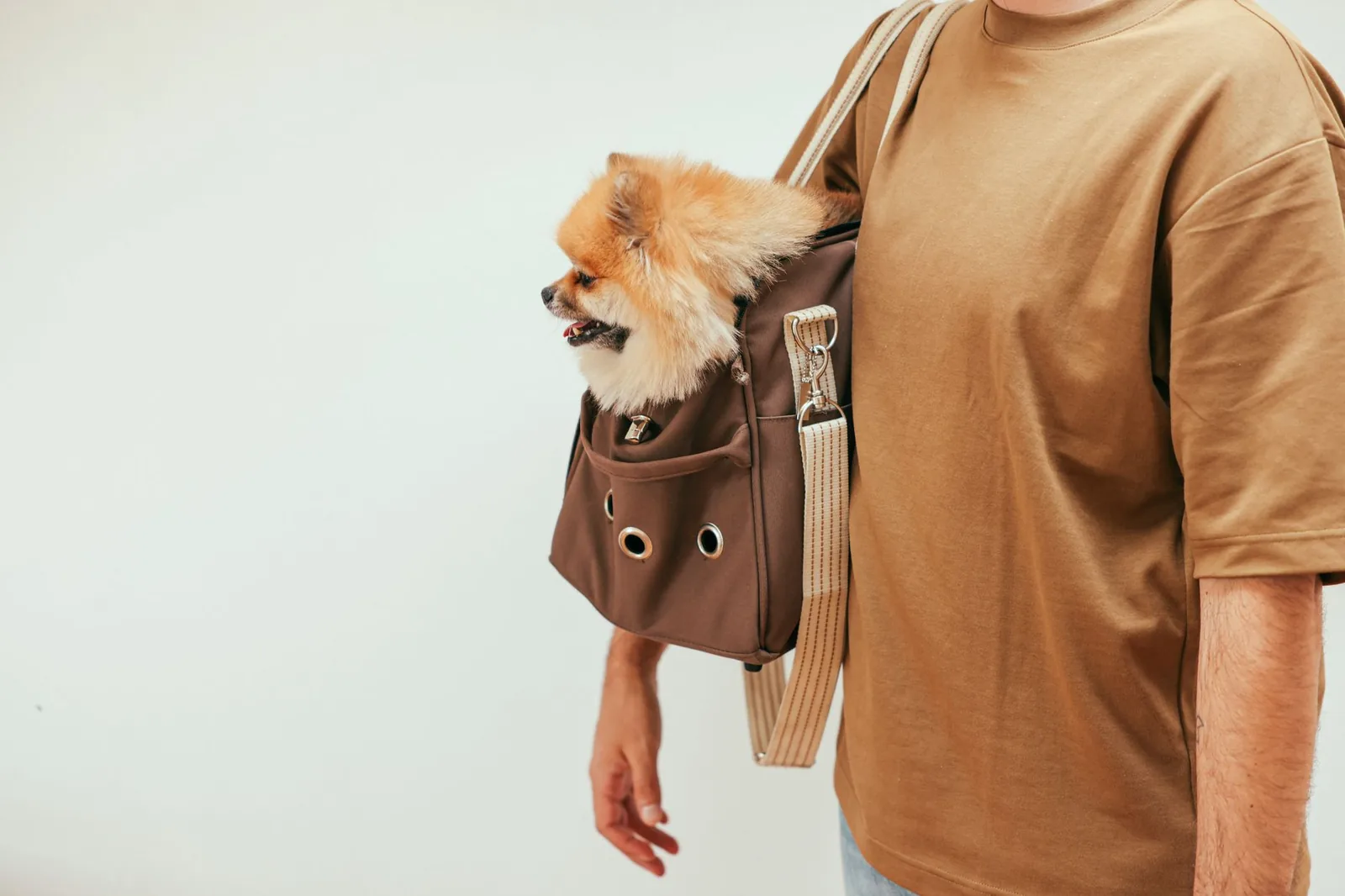 A soft pet carrier bag standing ready for travel