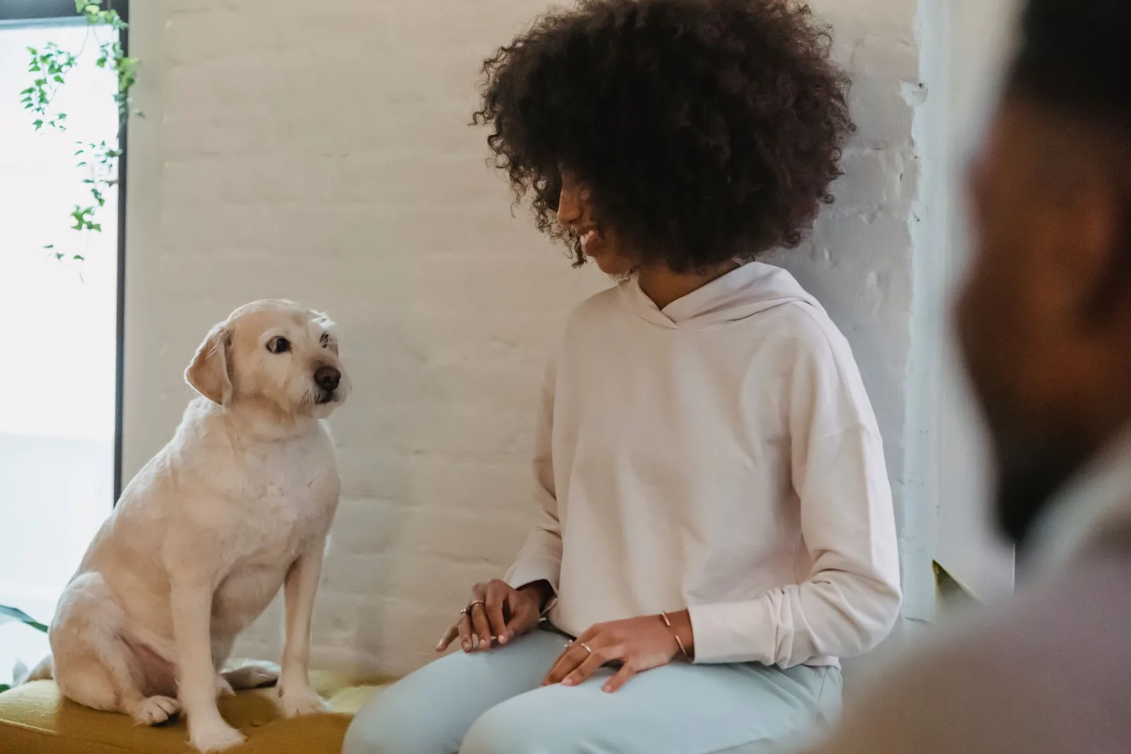 A person sitting calmly with a dog indoors