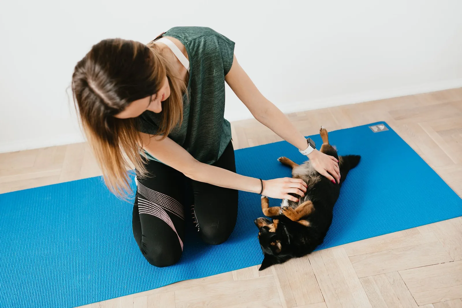 A dog lying settled on a mat indoors