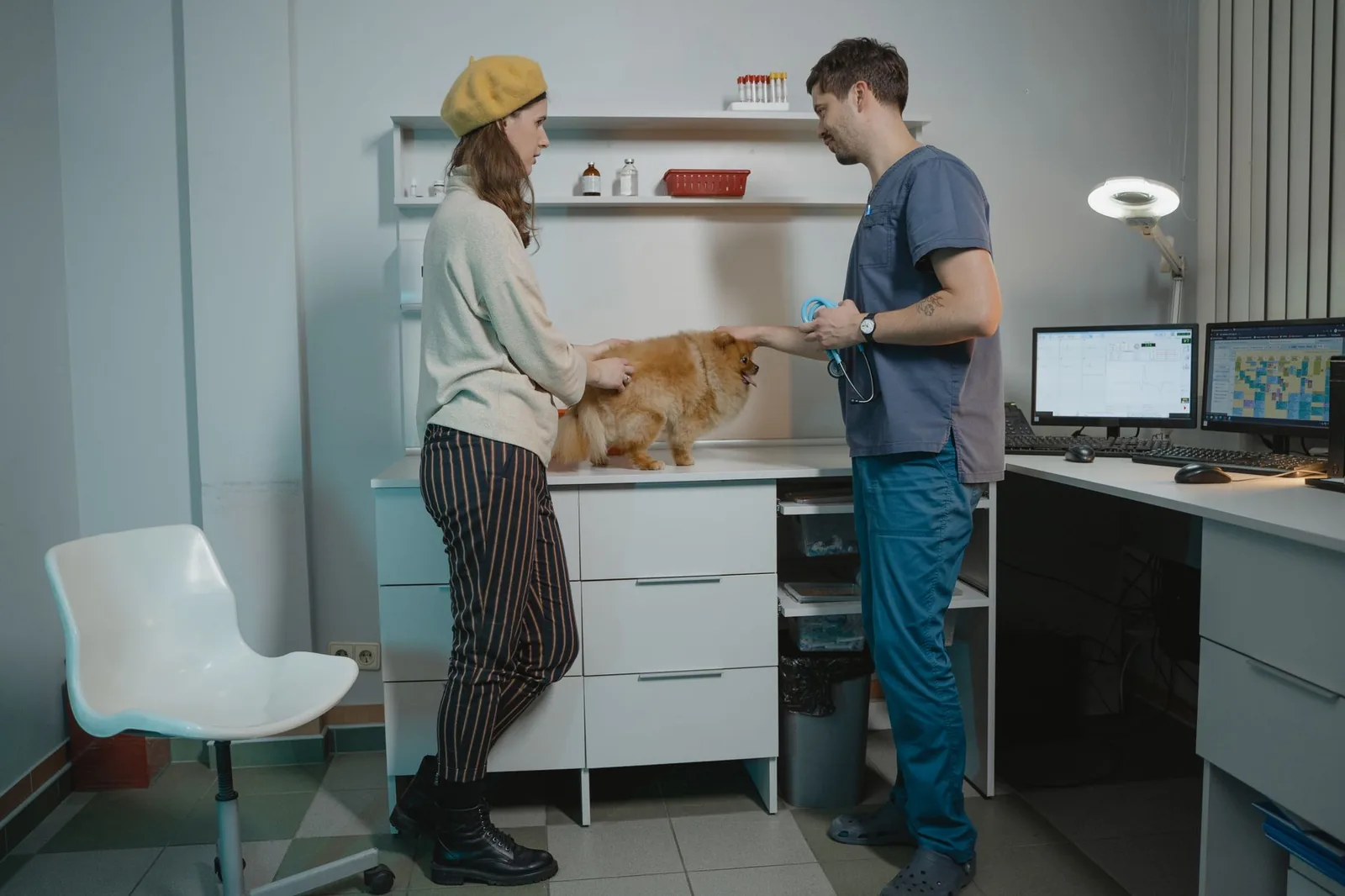 A veterinarian talking with an owner in a clinic